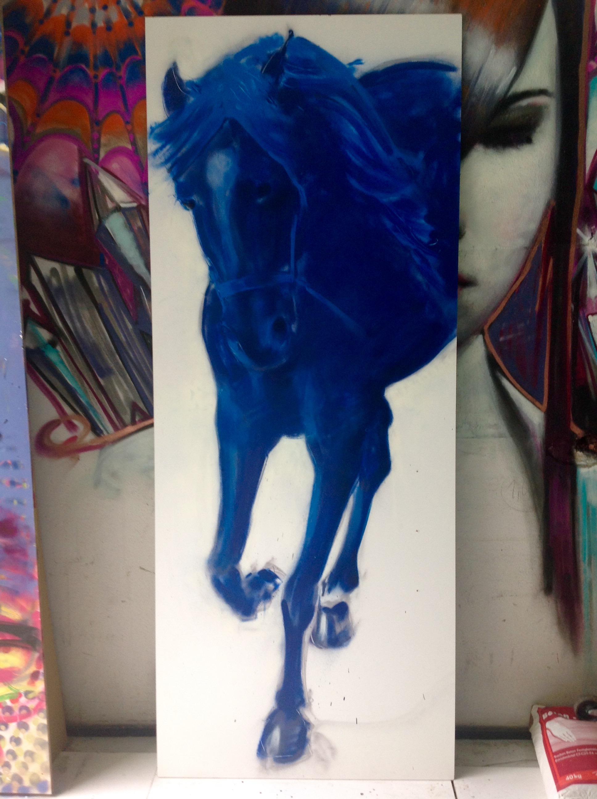 Graffiti Rosco,Blue horse,Aachen 2016